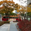 주식회사 강남투어
