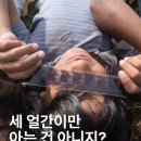 유엠영어슈퍼스타학원 | [큐레이션] 세 얼간이만 아는 건 아니지?🇮🇳: 인도 영화 모음집