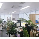 영등포세무서 내 이미지