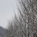 양평 한화리조트 이미지