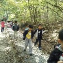 구로삼성어린이집 이미지