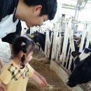 건우목장 이미지