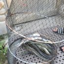 전곡낚시터 이미지