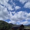 가을여행 (with 사랑,아랑, 보리와 함께) 이미지