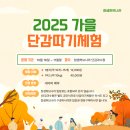 참샘 어린이집 | 부산 근교 아이와 가볼만한곳 밀양 참샘허브나라 단감 따기 체험