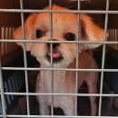 목포노동병원 이미지