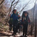 ■ 지리산 - 깜짝 눈박산행 - [명선북능 큰얼음쐐기골] (2/11~2/12) 이미지