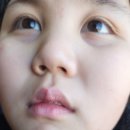 (주)디오메디칼 이미지