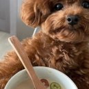 몽도날드 이미지