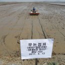 현대농장 이미지