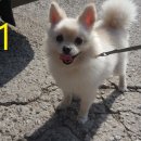 계산역 6번 출구 이미지