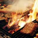 고릴라호텔 이미지