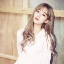 다예헤어
