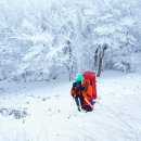 한라산 눈꽃 상고대 산행 (2024. 1. 26) - ＜2＞ 이미지