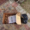 심지농장 이미지