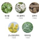 글로벌메칭 | 피부 자극 없이 부드럽게, 오가닉그라운드 버블힙 클렌저 리뷰