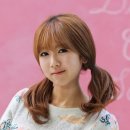하리(HARI)