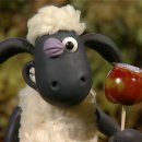 라라하우스 이미지