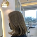 헤어보그 이미지