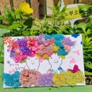 도마초교병설 이미지