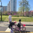 부평꿈나무 교통나라(영성동로18번길 51) 이미지