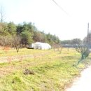 노동상리 이미지