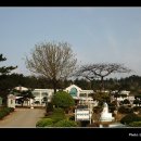 군내북초등학교 이미지