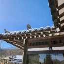 용인 SK하이닉스/삼성전자 인근 한옥상가~! 임대수익과 미래가치까지 이미지