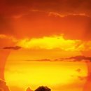 Lion King 이미지