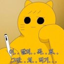 다이어트 환 2주차 복용 효과 체감환 내돈내산 다이어트 성공한 후기