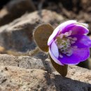 화암사 가는길 이미지