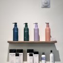 리체헤어 이미지