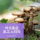 흥농종묘사 이미지