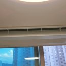 우두이지더원시그니처 이미지