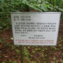 광산주유소 이미지