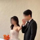 달리아플라워