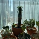 마옥환경 이미지