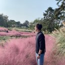 청자다방신대점 | 추석연휴일상 <먹뱅이한우,더라운지,어그원카페,함평나비축제,핑크뮬리보는곳>