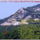 꿈꾸는소나무 이미지