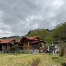 꽃들펜션 | [하동 아이랑]내돈내산 찔레꽃언덕펜션 재방문후기: 아이랑 가기 좋은 가성비, 올챙이 체험은 덤!