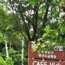 하이두원 이미지