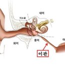 호매실연세이비인후과