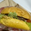 다비치당구클럽 | [ 🇵🇭 세부 ] D + 9 ➰ D + 21_ 세부시티와 보홀여행 ( 어학원생인지 여행자인지 모르겠는 그 중간 )