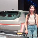 자동차 커뮤에서 논란 중인 신형 투싼 후방 깜빡이 이미지