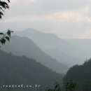 산빛화원