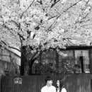 김광석사진관 이미지