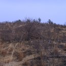 유강중학교 이미지