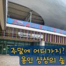꽃들의상상놀이터 | 용인 상상의숲 방문 후기｜아이와 가볼 만한 실내 놀이터