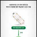 (주)더라이트