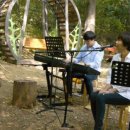 삼백낙곰 이미지